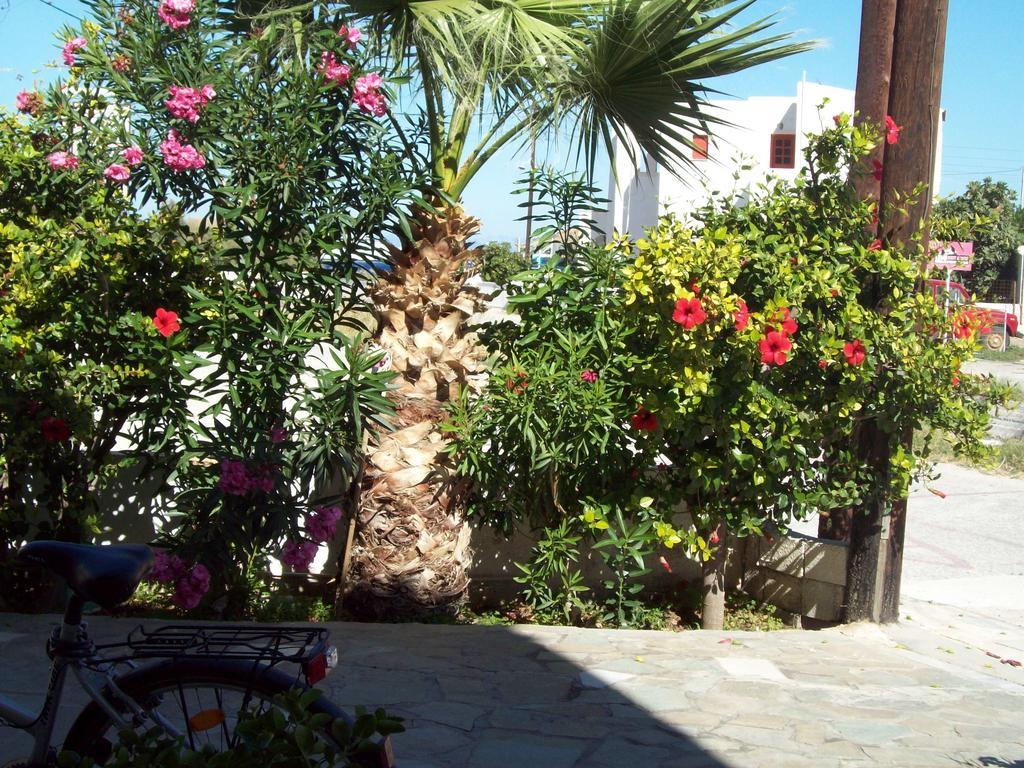 Anastasia Apartments Korissia  المظهر الخارجي الصورة